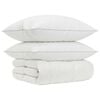 vidaXL 90% Goose Down Duvet Set FULDA 3 pcs 220 x 260 cm Winter White