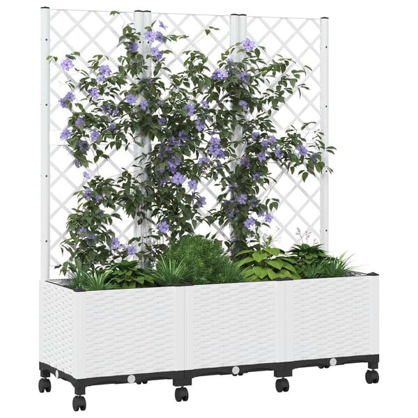 Showing Product Image 3 of 8