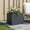Product Thumbnail Image 2 of 7