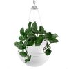 LECHUZA Hanging Planter BOLA Color 32 ALL-IN-ONE White