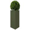 Product Thumbnail Image 3 of 10