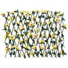 Product Thumbnail Image 2 of 6