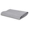 vidaXL Tarpaulin 650 g/m&sup2; 1.5x10 m Grey