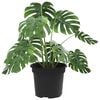 Product Thumbnail Image 3 of 9