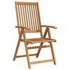 vidaXL Folding Chairs 2 pcs Solid Acacia Wood Brown