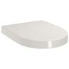 vidaXL Soft-close Toilet Seat with Quick-release Design White Square