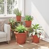 Product Thumbnail Image 4 of 12