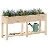 vidaXL Garden Planter Beige 161.5 x 45 x 76.5 cm Solid Fir Wood