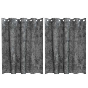 vidaXL Velvet Curtains with Curtains 2 pcs Grey 140 x 140 cm Velvet