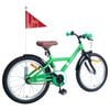 vidaXL Kids Bike 20'' for 6-11 Years Old Green