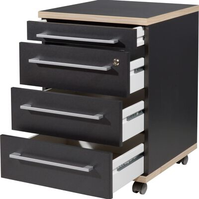 Germania Rolling Filing Cabinet Duo 42x45x60 cm Anthracite