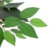 Product Thumbnail Image 4 of 5