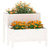 vidaXL Planter White 84.5x84x75 cm Solid Wood Pine