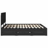 Product Thumbnail Image 9 of 14