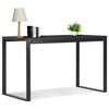 vidaXL Computer Desk Black 120x60x70 cm