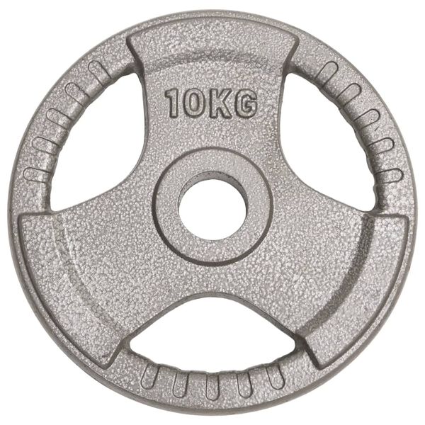 vidaXL Olympic Weight Plates 2 pcs 20 kg Cast Iron