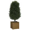 Product Thumbnail Image 7 of 8