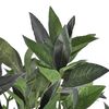 Product Thumbnail Image 2 of 2