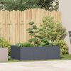 vidaXL Planter Anthracite 120x80x40 cm Steel