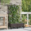 Product Thumbnail Image 2 of 8