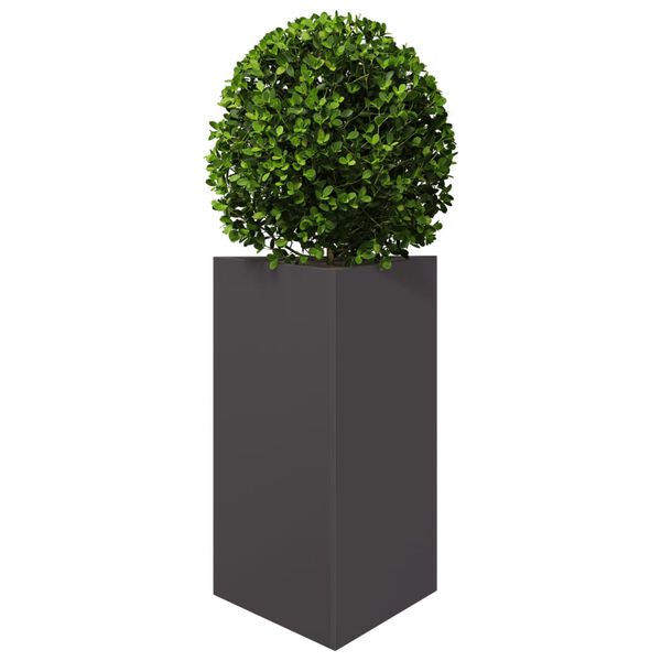 Showing Product Image 4 of 12