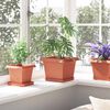 Product Thumbnail Image 4 of 12