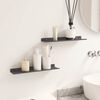 vidaXL Wall Shelf with Shelf 2 pcs Black 40 x 8.5 x 2.5 cm