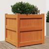 vidaXL Garden Planter Wax Brown 50x50x50 cm Solid Wood Pine