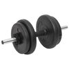 vidaXL Curl Barbell and Dumbbell with Plates 60 kg