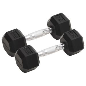 vidaXL Dumbbells 2 pcs 5 kg Total Cast Iron