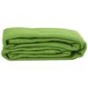 vidaXL Tent Carpet Light Green 200x300 cm HDPE