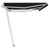 vidaXL Freestanding Manual Retractable Awning 600x350 cm Anthracite