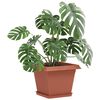 Product Thumbnail Image 3 of 10