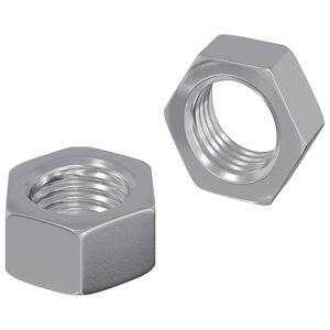 vidaXL Hex Nut 2 pcs Silver M6 Iron