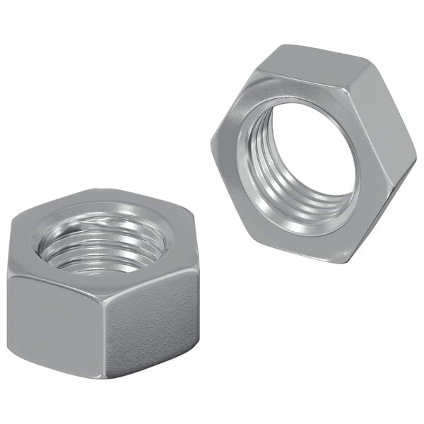 vidaXL Hex Nut 2 pcs Silver M6 Iron