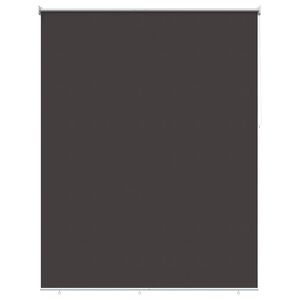 vidaXL Outdoor Roller Blind UV Protection Anthracite Polyester