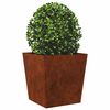 Product Thumbnail Image 3 of 12