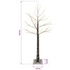 Product Thumbnail Image 5 of 5
