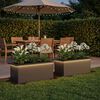 Product Thumbnail Image 2 of 13