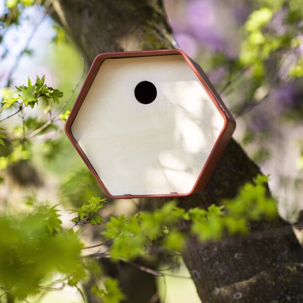 Capi Bird House Hive 1 19x23x20 cm Brown