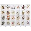 vidaXL 6-Panel Room Divider White 210x165 cm Bird