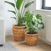 Product Thumbnail Image 2 of 12