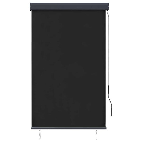vidaXL Outdoor Roller Blind 100x250 cm Anthracite