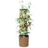 Product Thumbnail Image 3 of 6