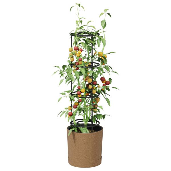 Showing Product Image 3 of 6