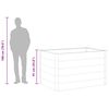 Product Thumbnail Image 9 of 9