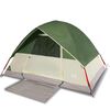 vidaXL Camping Tent Dome 4-Person Green Waterproof