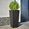 Product Thumbnail Image 2 of 12