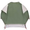vidaXL Camping Tent Dome 1-Person Green Waterproof