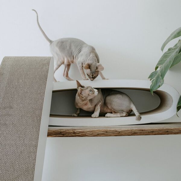 DISTRICT70 2-in-1 Cat Scratcher OVAL OFFICE